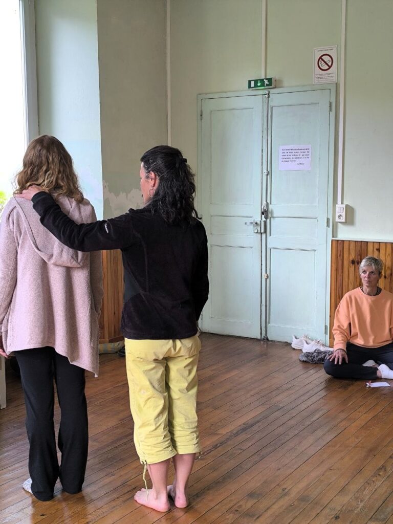 constellations systémiques familiales ariège