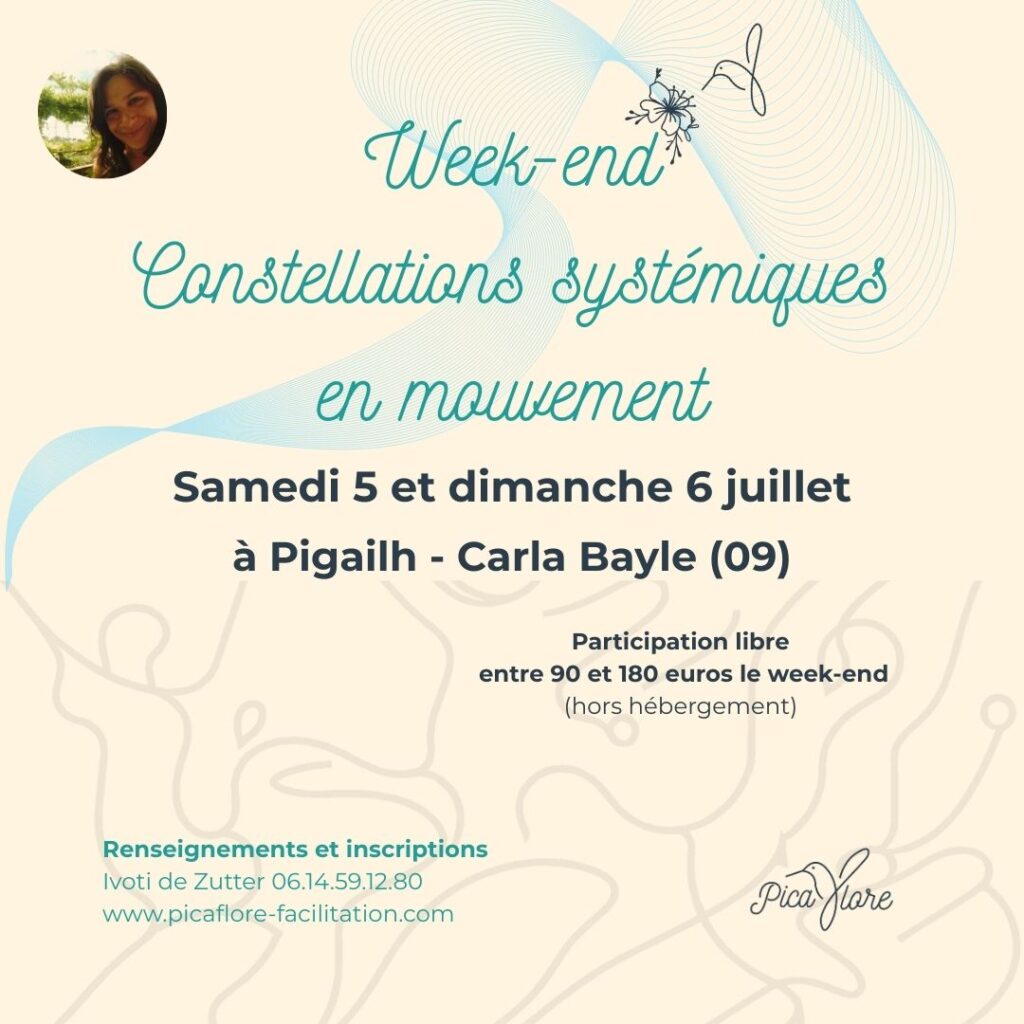 constellations systémiques en mouvement ariège